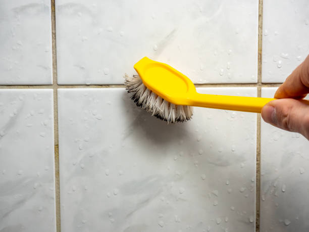 Professional Mold Removal in Capitol Heights, MD