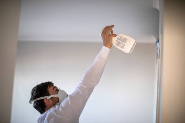Best Certified Mold Removal  in Capitol Heights, MD