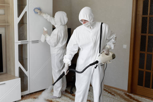 Best Toxic Mold Removal  in Capitol Heights, MD