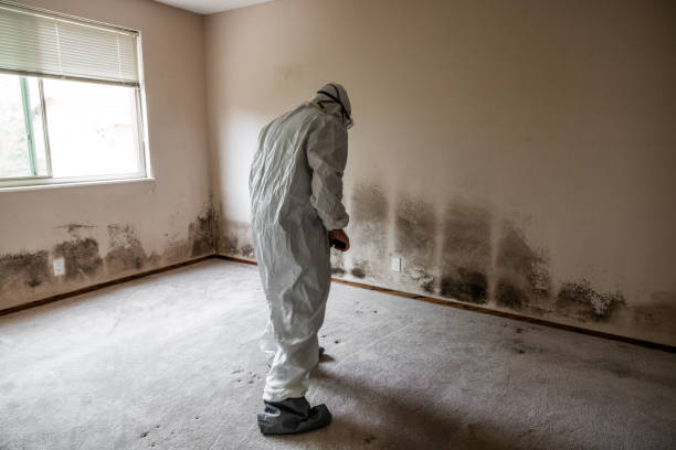 Best Mold Testing  in Capitol Heights, MD